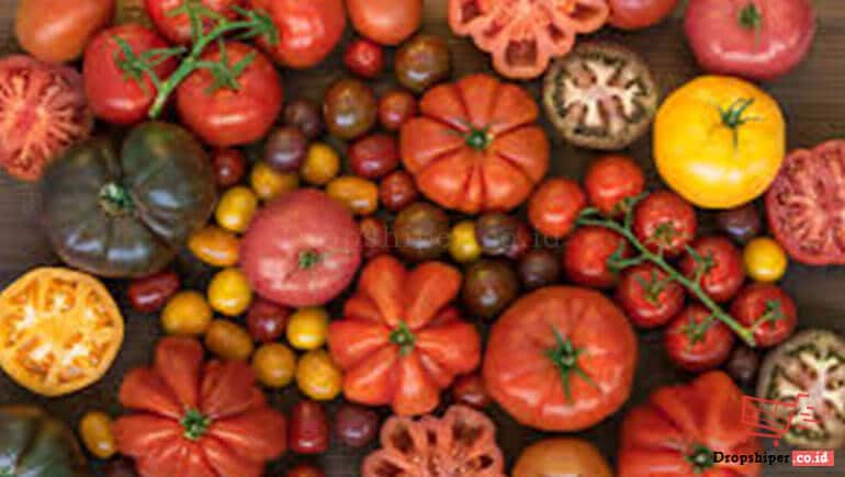 Jenis-jenis Tomat Paling Laku Dipasaran