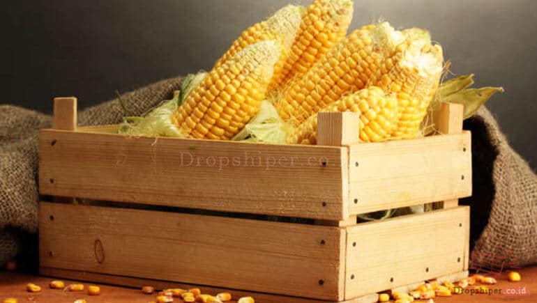 Manfaat Jagung Bagi Kesehatan Tubuh