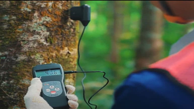 Cara Menggunakan Wood Moisture Meter untuk Mengukur Kadar Air Kayu