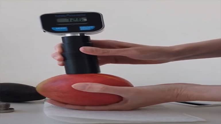 Meningkatkan Kualitas Buah Dengan Menggunakan Alat Ukur Kekerasan Buah