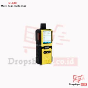 K-600 4 in 1 Handheld Gas Detector