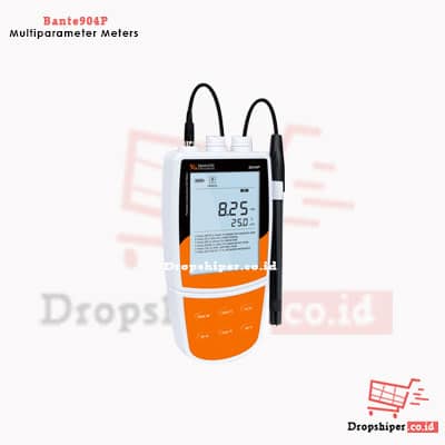 Bante904P Portable Conductivity/Dissolved Oxygen Meter