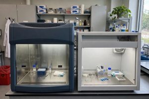 perbedaan biosafety cabinet vs clean bench laminar air flow untuk perlindungan