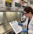 Teknisi lab melakukan checklist pemeriksaan Biosafety Cabinet sebelum digunakan dengan form pre-use inspection