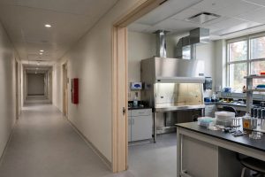 lokasi biosafety cabinet jauh dari lalu lintas personel dan pintu laboratorium