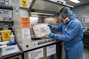 Teknisi mengganti HEPA filter Biosafety Cabinet Class II Type A2 dengan dekontaminasi dan recertification wajib