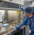 Teknisi melakukan perawatan rutin dan maintenance Biosafety Cabinet pembersihan grille airflow dan cek sash alarm