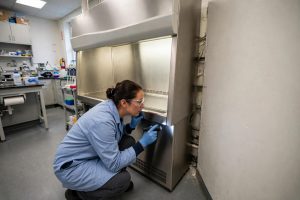 ruang bebas 30 cm belakang dan sisi biosafety cabinet untuk akses maintenance