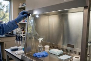 sop biosafety cabinet setelah bekerja cleaning dekontaminasi permukaan kerja