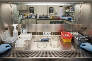 sop penataan material biosafety cabinet grille tidak terhalang workflow clean dirty