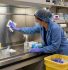 sop penggunaan biosafety cabinet pemeriksaan awal status sertifikasi kondisi fisik